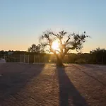 Trulli Mbs By Apulia Hospitality
